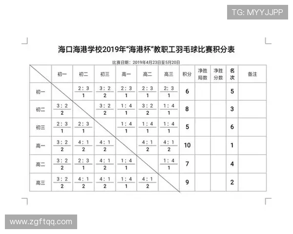 重庆羽毛球队在精英赛中的意识表现分析与总结